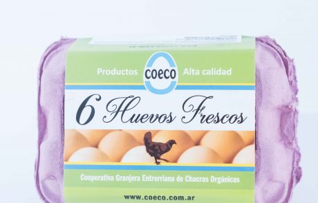 COECO-SmilephotoBA_-36