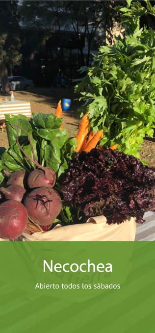 Mercado productos org´ánicos Necochea Buenos Aires Tienda Online productos naturales, saludables y sin agrotóxicos